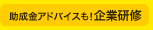 企業研修